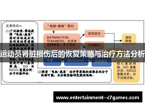 运动员肾脏损伤后的恢复策略与治疗方法分析